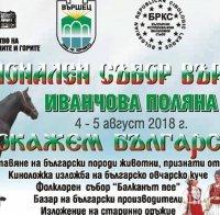 Национален събор на български породи животни започна във Вършец