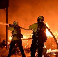 Губернаторът на Калифорния поиска помощ от Доналд Тръмп за борба с пожарите