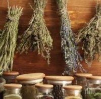 Това е мехлемът чудо, с който заздравяват всички рани по кожата