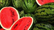 Диетолог за това кои са най-подходящите напитка и храни за разхлаждане през лятото
