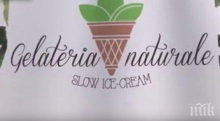 фунийка сладолед въглен хит фестивал софия