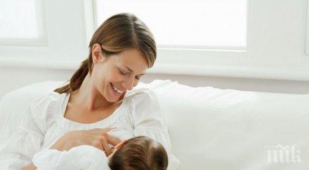 алкохолът време кърмене нарушава мозъчното развитие децата