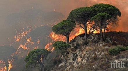 пожари заплашват природен парк испания