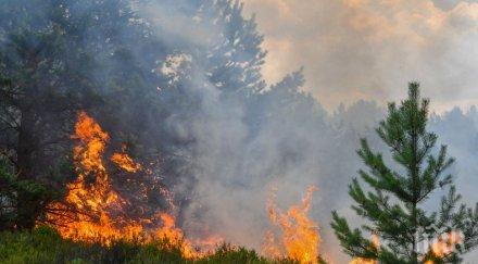 милиони евро струва жегата германските лесовъди животновъди