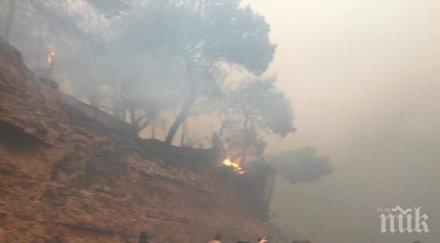 огнения роднини загиналите гърция съдят пожарната полицията