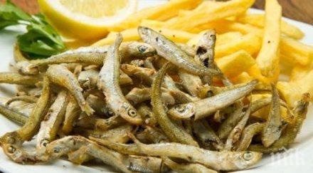 нечувана скъпотия цацата морето удари лева снимка