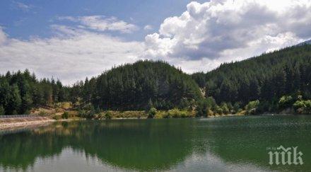 притеснително откриха мъртви животни 400 метра водосборната зона студена