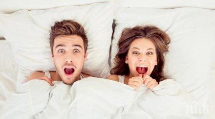 шумните леглото