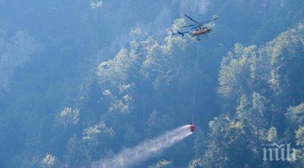 извънредно самолет катастрофира горски район швейцария загинали
