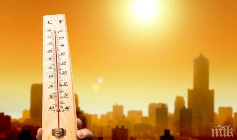 ЗЛОКОБНА ПРОГНОЗА: Идва масов мор заради адската жега! Учените посочиха къде заплахата е най-сериозна