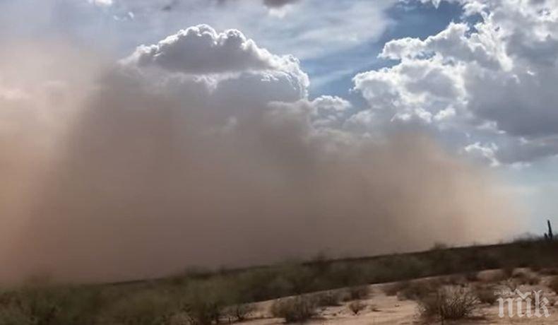 УЖАСЯВАЩО! Огромна пясъчна буря мина през Аризона (ВИДЕО)