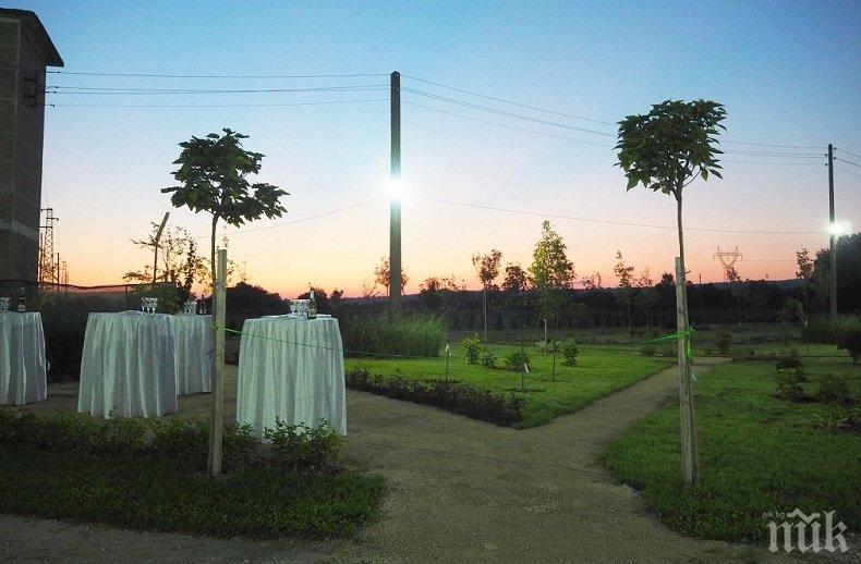 Откриха нова ботаническа градина край Разград