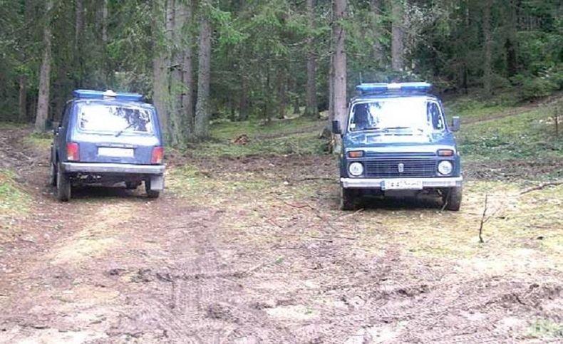 Крути мерки! Увеличават броя на горските инспектори