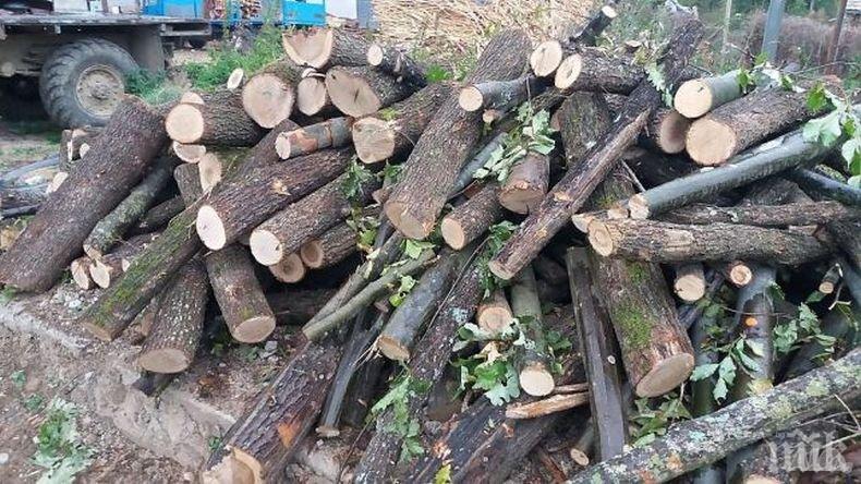 Дървата за огрев в Хасково удариха 180 лева за тон
