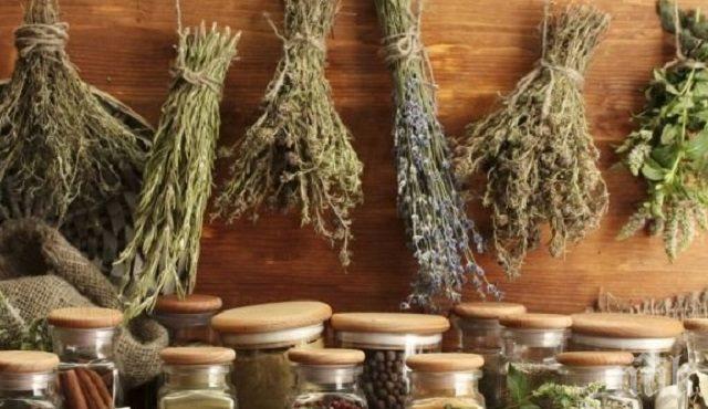 Това е мехлемът чудо, с който заздравяват всички рани по кожата