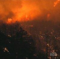 ОГНЕН АПОКАЛИПСИС! Калифорния се бори с най-големия пожар в историята си