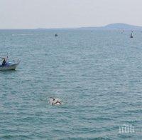 Мъртво вълнение вдигна възрастта за участие в плувния маратон в Бургас