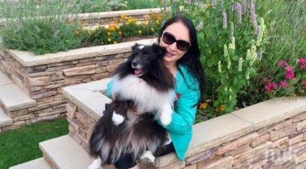 пик ретро евакуират жената бойко пожар подплаши стела