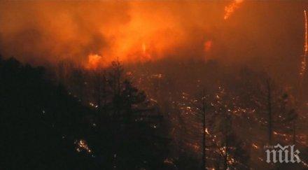 огнен апокалипсис калифорния бори големия пожар историята