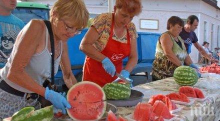 изядоха тон половина дини село никюп