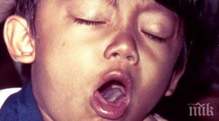 внимание опасни зарази плъзнаха врачанско