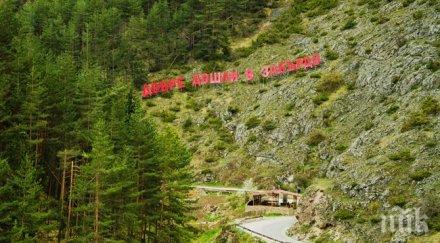 отварят пътя забърдо чудните мостове