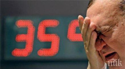 мор тепетата 100 души ден спешното заради жегите