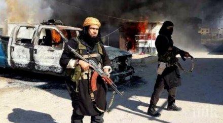 иран предотврати серия терористични атентати