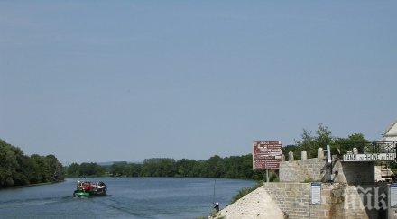 хиляди риби загинаха река швейцария