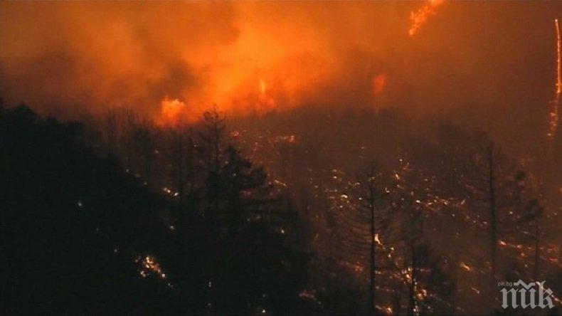 ОГНЕН АПОКАЛИПСИС! Калифорния се бори с най-големия пожар в историята си
