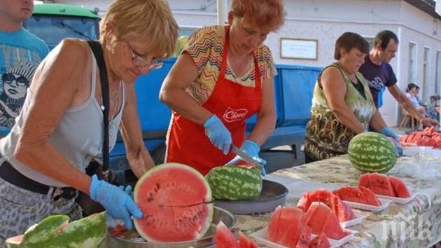 Изядоха тон и половина дини в село Никюп