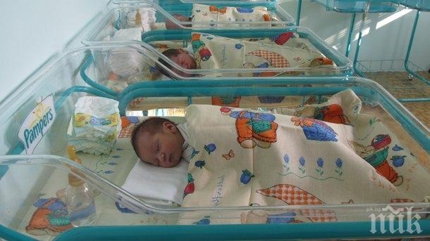 Антирекорд: Два пъти по-малко бебета се родиха в Пловдив