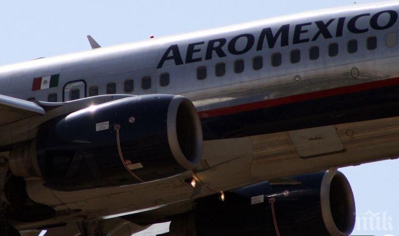 Пътници от разбилия се самолет в Мексико заведоха дело срещу авиокомпанията