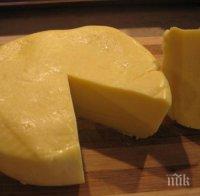 Откриха липса в мандра - няма ги 38 тона кашкавал за Държавния резерв