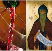 празник почитаме свети максим изповедник празнува