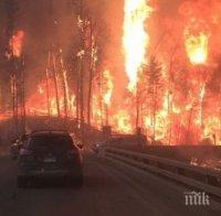 Близо 7 000 сгради бяха евакуирани в Британска Колумбия заради горските пожари