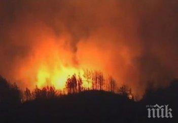 апокалипсис огненият калифорния взе десета жертва снимки