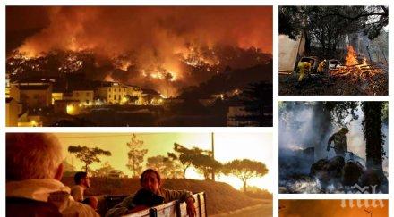 апокалипсис огненият превърна португалия пустиня вижте пораженията изпепеления мончике видео