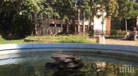 клошари цигани прощават никого пловдив ядат костенурки крадат музей