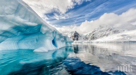 изненада антарктида оказа популярна сред туристите