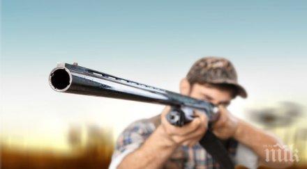 жестокост криминално проявен гръмна пушка домашно кученце