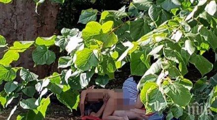 парещото слънце секс оргия посред бял ден градски парк снимки