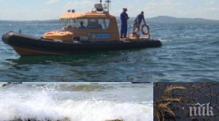 ужас екологична бомба заредена тонове мазут цъка дъното созополския залив