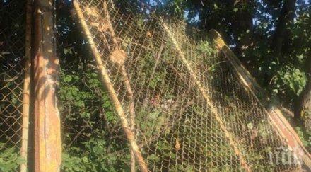 опасно падна оградата стадион пловдив снимка