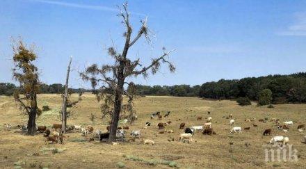 сушата германия причинила щети милиард евро