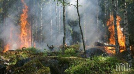 внимание повишава опасността пожари страната