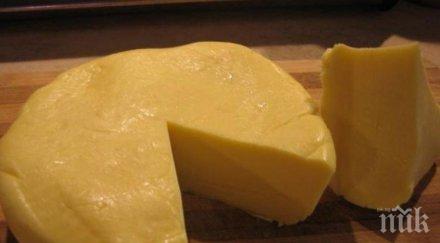 египет откриха кашкавал 200 години