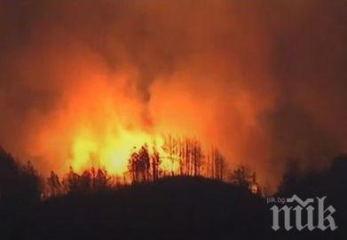 АПОКАЛИПСИС! Огненият ад в Калифорния взе десета жертва (СНИМКИ)