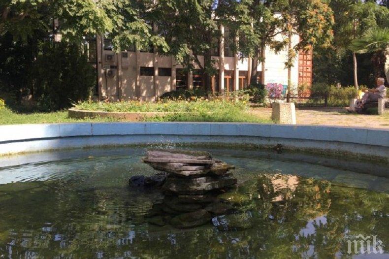 Клошари и цигани не прощават на никого в Пловдив - ядат костенурки и крадат от музей