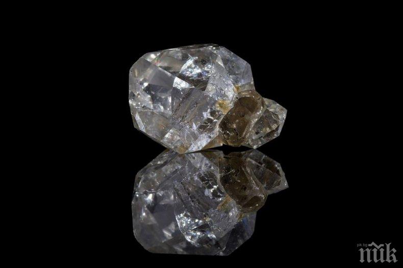 ПЪЛЕН ШАШ! Мравка се опита да открадне диамант от бижутер
